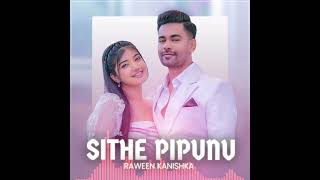 Sithe Pipunu  Raveen Kanishka  Cover Version  Chamod Hemantha [upl. by Nirtiac]