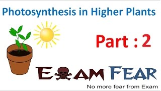 Biology Photosynthesis in Higher Plants Part 2 Priestley amp Ingenhousz experiments CBSE class 11 XI [upl. by Einahpad898]