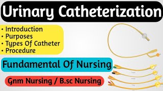 Catheterization Procedure Nurses Lecture [upl. by Imrots142]