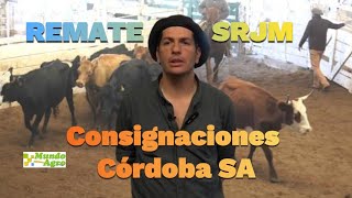 💠🐮Invernada en alza en el Remate de Hacienda de Consignaciones Córdoba en la SRJM►Pedro Pérez [upl. by Karil]