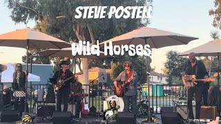 Steve Postells Night Train Music Club performs Wild Horses at Gandara Park Santa Monica 092423 [upl. by Yuille507]