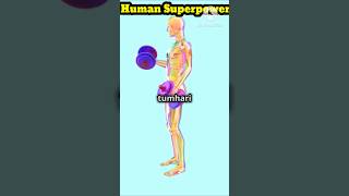 Human facts I Interesting 🤔 facts about Human shortsfeed facts shortyoutubeshorts humanefacts [upl. by Ttnerb]