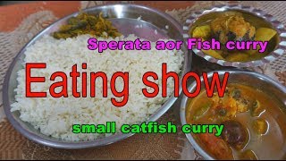 Eating show  eating Sperata aor Fish curry with small catfish curry [upl. by Darreg382]