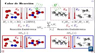 Reacciones Exotérmicas y Endotérmicas [upl. by Izzy]