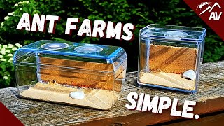 How to make an Ant Farm  DIY Sand Formicarium [upl. by Durham]