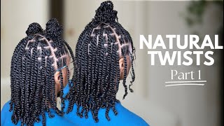 The Best Protective Style For NaturalHair  Part 1 How to do NaturalTwists [upl. by Philipps]