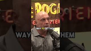 End of American Democracy Looms donaldtrump podcast joerogan [upl. by Nillek]