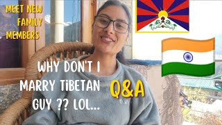 Why dont I marry Tibetan 😅 QnA simplydeepika1539 [upl. by Clarkin729]