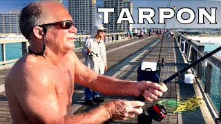 TARPON NAVARRE PIER [upl. by Nnyleuqaj]