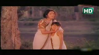 Sita Lo Aji Jaluchi Jahara  Oriya Movie  Udandi Sita  CHPATI [upl. by Doralynn]