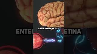 Double Slit Experiment w\ Neil Tyson physics light photon experiment neildegrassetyson science [upl. by Adnalro]