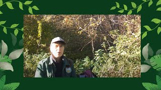 Herfstwandeling bos  bostuin technieken  ecologische moestuin [upl. by Philly]