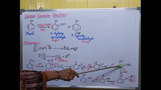 Reimer Tiemann reaction with mechanism [upl. by Nnayllehs]