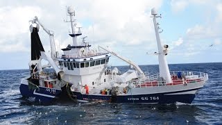 Mackerel Fishing in The North Sea September 2013 [upl. by Ahsenak]