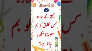 Urdu Gk short quiz bum dhundne wali makhluk gk shorts urdu [upl. by Lukas]