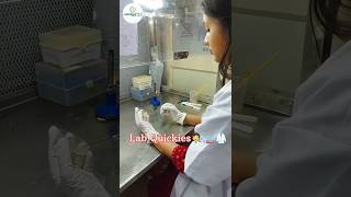 Experiment🧑‍🔬🧫🥼 Edition🧪🧬🦀science research 2024 reels viral experiment shorts [upl. by Taub]