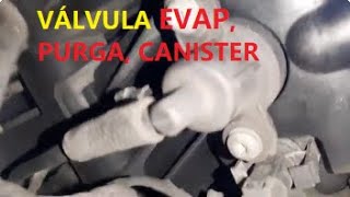 RUIDO fuerte y molesto de válvula EVAP en Mercedes pero FUNCIONA CORRECTAMENTE CANISTER PURGA [upl. by Koy]