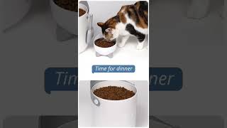 Catit Pixi Smart Vacuum Food Container  Smart Storage Solution maplepetsindia [upl. by Nnylav]