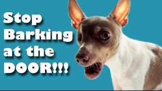 Stop barking at the door  Dog Training [upl. by Bonar]