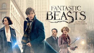 Fantastic Beasts and Where to Find Them Full Movie Review In Hindi  Hollywood Movie Fact And Story [upl. by Etteuqram]