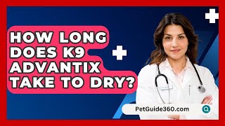 How Long Does K9 Advantix Take to Dry  PetGuide360com [upl. by Ardnassak]