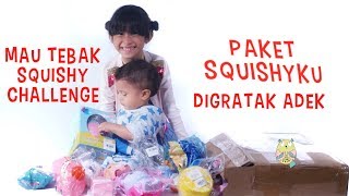 Tebak SQUISHY CHALLENGE  Paket SQUISHYku diGRATAK Adek  Unboxing GearbestCom Package [upl. by Fillian]