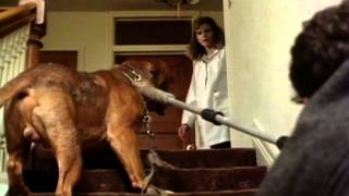 Turner And Hooch  Trailer [upl. by Tongue]