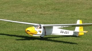 Erics Seagull Ka8B Sailplane at KVMA [upl. by Enamart]