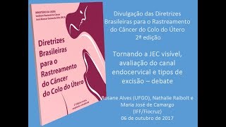 Tornando a JEC visível avaliação do canal endocervical e tipos de excisão  debate [upl. by Ellevehc]