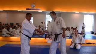 Nariyama Shihan  Teaching 8 Basic Wrist Grips [upl. by Cynth]