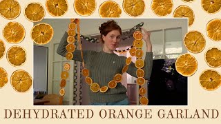 DEHYDRATED ORANGE CHRISTMAS GARLAND  Making Homemade Christmas Decorations 🍊🎄🧡🍁 [upl. by Lleznov696]