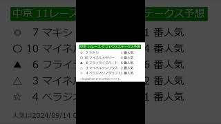 【ショート】【競馬予想】2024年9月14日（土）中京競馬レース予想 [upl. by Nairahcaz312]