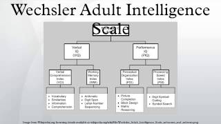 Wechsler Adult Intelligence Scale [upl. by Sadirah]