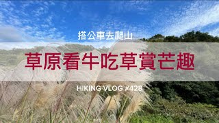 台北士林｜搭公車去爬山｜輕鬆休閒路線｜草原看牛吃草賞芒花（溪和宮登峰圳步道荷蘭古道高頂山北五指山小綿羊草原內雙溪古道王子厝賴家古厝登峰圳O型） [upl. by Ariadne]