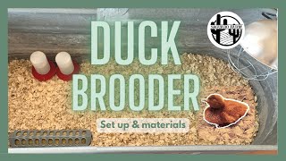 Duckling Brooder Set Up  The Basics [upl. by Ocir]