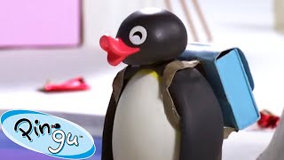 All Packed Up 🐧  Pingu  Official Channel  Cartoons For Kids [upl. by Cynthla]