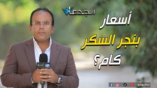 عايزين نعلن أسعار بنجر السكر  وإلا محدش هيزرعه  محتاجينه [upl. by Lavoie]