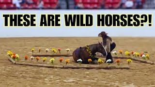 Mustang Challenge 2024  Wild HORSES compete for 125K 💰EP4 [upl. by Mayhs]