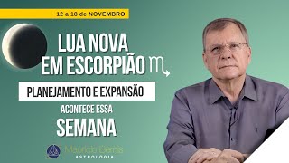 Decisões com Astrologia Semana de 12 a 18 de Novembro de 2023 [upl. by Rubia]