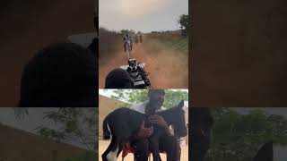 IBRAHIM CHATTA PRESENTS A BLOCKBUSTING MOVIE viralvideo diorimperialtv movie [upl. by Richman]