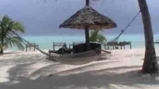 Pongwe A Zanzibar holiday with Tanzania Odyssey [upl. by Nnylyram]