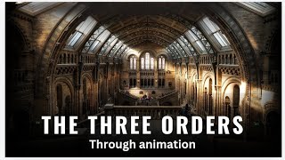 Class 11  chapter  The Three orders  through animation I line by line explanation of NCERT [upl. by Vidovik]