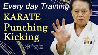 5 min Karate Training  Punching and Kicking  Ageshio Japan [upl. by Paco]