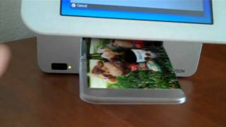 Review Epson PictureMate Show Printer [upl. by Eecyac]