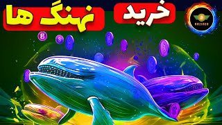 نهنگ ها خریدند جهش حجمی این ارزها [upl. by Allesor]