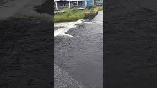 Garvoge River Sligo Ireland [upl. by Wootan]