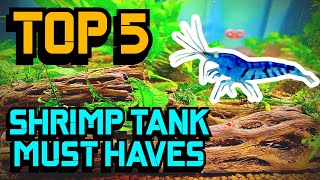 Top 5 Shrimp Tank Must Haves [upl. by Hadsall895]