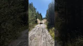 Suzuki sidekick 60 kmh through mud puddle offroad ccr youtube shorts [upl. by Oicnerolf]