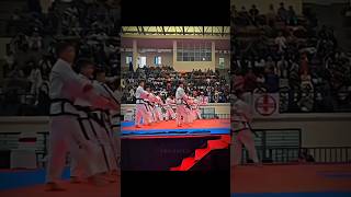 DANGUN PATTERN 🤯 TAEKWONDO 🥋 DAEMOCTION shorts youtubeshorts [upl. by Schurman]