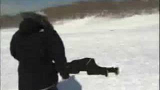 News Reporter Gets Hit By Sled [upl. by Anuqahs]